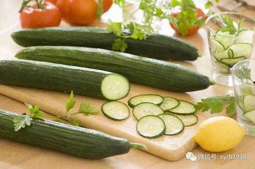 沈阳特色吃瓜视频,一网打尽地道美食瞬间