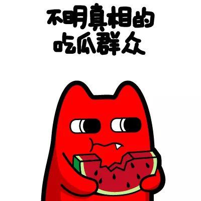法斗吃瓜群众视频,揭秘宠物界的“八卦风云”