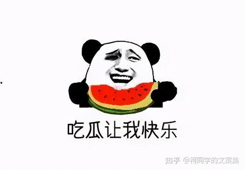 视频吃瓜文案搞笑,视频吃瓜文案的欢乐盛宴