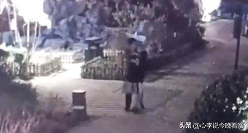 林州吃瓜事件视频播放,视频曝光引发网友热议