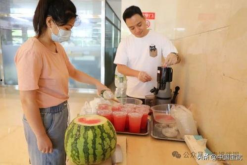 海宁吃瓜事件视频最新,一场网络狂欢背后的真相与反思