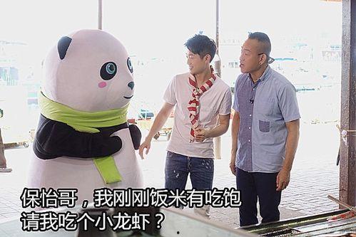 胖达吃瓜视频在线观看,笑料横生，在线观看欢乐无限