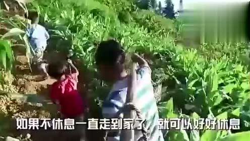 落九川最新吃瓜视频,幕后真相大曝光！