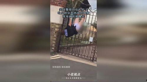 美发店看热闹吃瓜视频,看热闹吃瓜，揭秘日常生活中的小确幸
