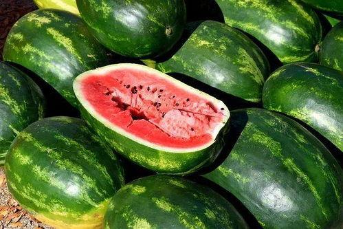 吃八卦瓜视频大全图片,吃八卦瓜视频大全，带你领略明星幕后故事
