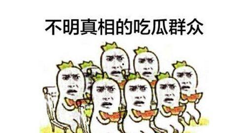 误会吃瓜群众怎么办视频,揭秘视频背后的真相与反思