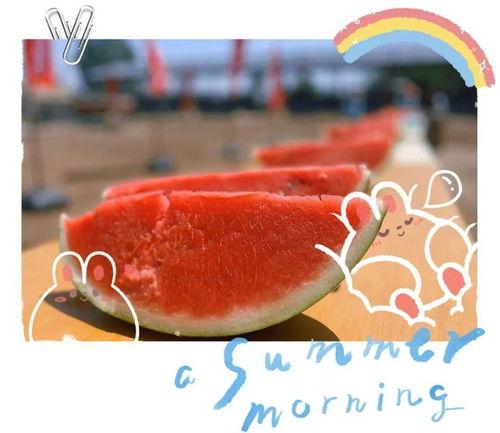 琉璃吃瓜现场视频全集,全程揭秘娱乐圈幕后风云