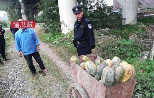 冕宁吃瓜事件真相揭秘视频,揭秘背后真相与争议