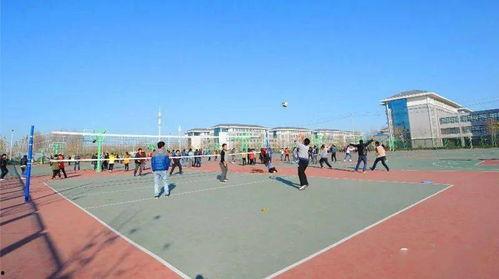 郑州学校长椅吃瓜视频,网友热议校园生活新现象