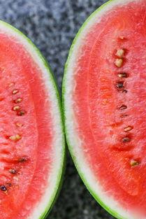 小陈吃瓜吐籽视频大全下载,趣味瞬间，尽在掌握