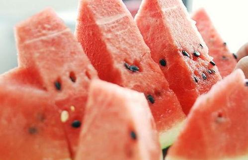 小陈吃瓜吐籽视频大全下载,趣味瞬间，尽在掌握