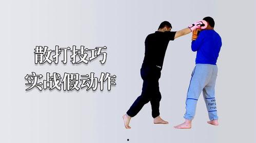 假动作吃瓜视频,揭秘“假动作吃瓜”视频背后的趣味与真相