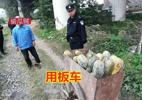 南昌莲塘吃瓜事件视频,一场引发热议的街头冲突瞬间