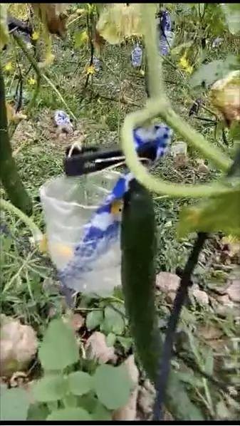 南昌莲塘吃瓜事件视频,一场引发热议的街头冲突瞬间