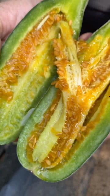 吃瓜视频黄版,一场视觉与心理的双重冲击