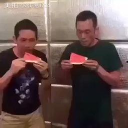 包租公吃瓜笑的视频,揭秘短视频背后的欢乐与智慧