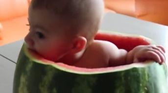 小朋友吃瓜的视频,小朋友欢乐吃瓜瞬间