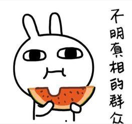 吃瓜引发笑话视频,视频中的欢乐瞬间